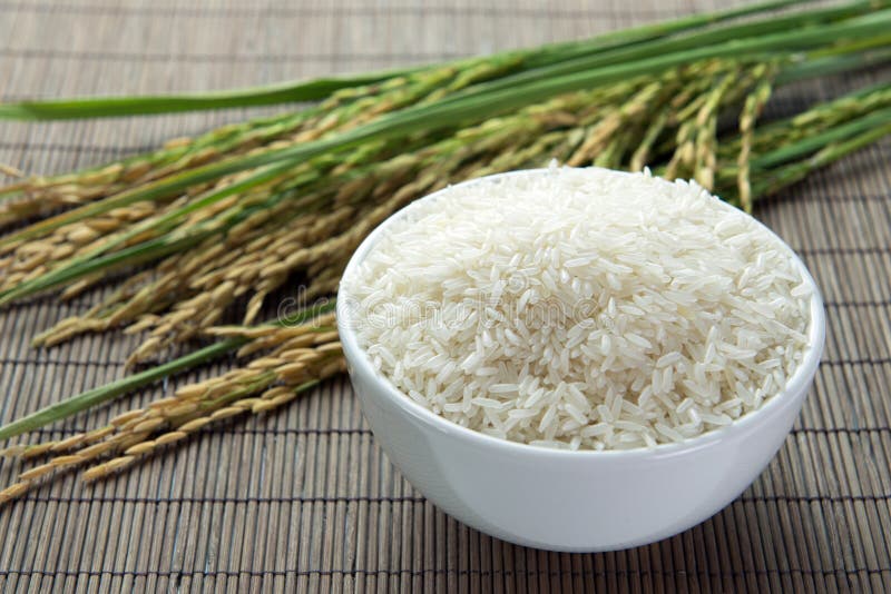 RIZ POPULAIRE PADDY